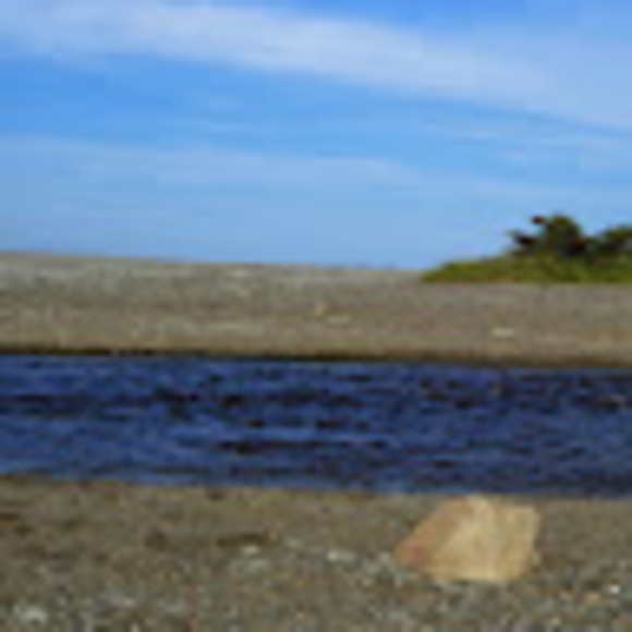 Meet your Posher, Danielle - Picture 1 of 1